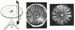 Jelila - Crystal and Chakra Healing Online and In Person - Chladni Images formed from vibrating Sand on a Plate