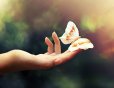Want Change? Feel stuck and don't know how to change?  Want support and guidance in moving forward elegantly?  Jelila - www.jelila.com