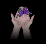 25vlinPicturesanimations.com - Butterfly Collection Jelila - Crystal Healing Spiritual Healing Online and In Person - www.jelila.com