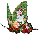 Gentle transformation with sound music and crystals - Jelila - www.jelila.com