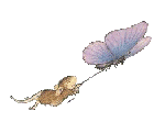 Butterfly Collection Jelila - Crystal Healing Spiritual Healing Online and In Person - www.jelila.com