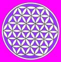 How's Your Aura? What Colours do You Have?  Chakra Balancing your Sacred Shapes & Aura Colours - www.jelila.com