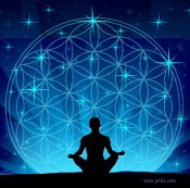 Sacred Geometrical Shape Lover? - What Blossoms Your Hearts Desires? Click to Find Out - www.jelila.com